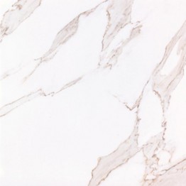 Gạch lát sàn Trường Thịnh WHITE ELEGANCE TT66101